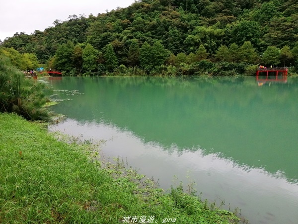 【宜蘭 員山】恬靜悠適。 望龍埤環湖步道