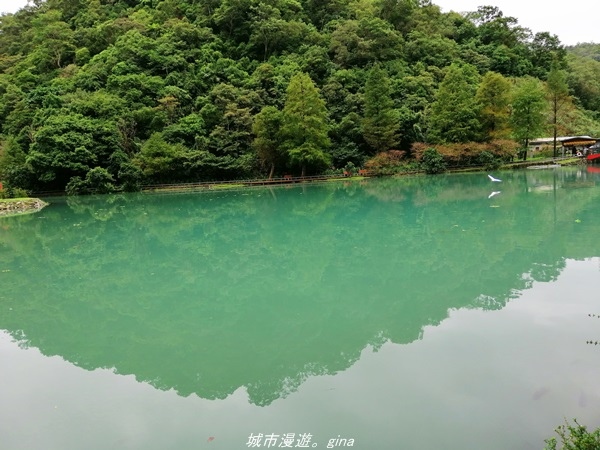 IMG_20211017_135229.jpg IMG_20211017_135229.jpg