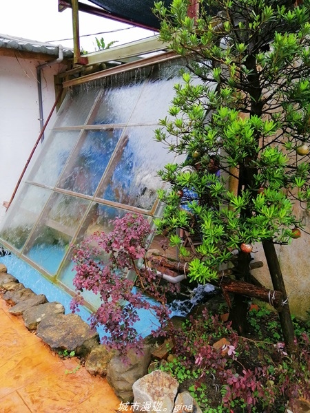 IMG_20211017_140239.jpg IMG_20211017_140239.jpg