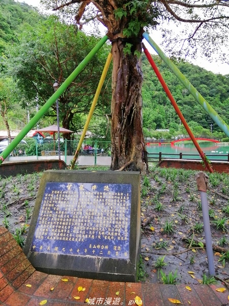 IMG_20211017_140803.jpg IMG_20211017_140803.jpg