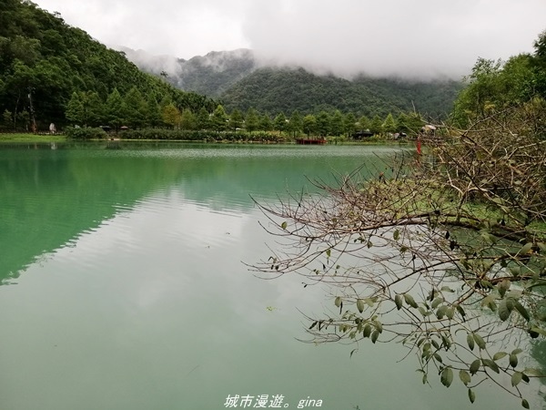 【宜蘭 員山】恬靜悠適。 望龍埤環湖步道