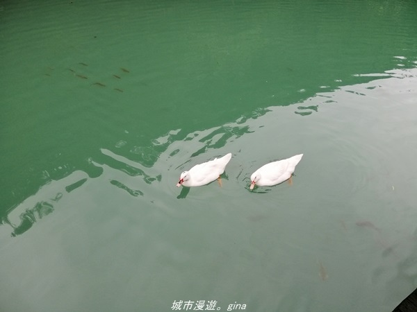 IMG_20211017_144125.jpg IMG_20211017_144125.jpg