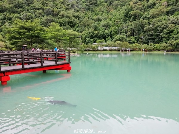 【宜蘭 員山】恬靜悠適。 望龍埤環湖步道