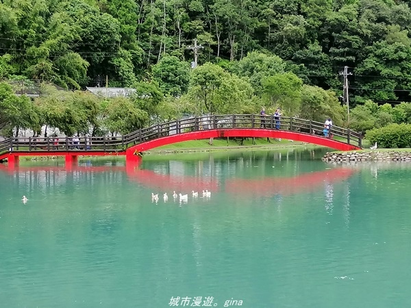 【宜蘭 員山】恬靜悠適。 望龍埤環湖步道