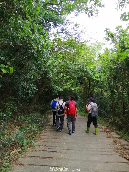 IMG_20211023_141016.jpg IMG_20211023_141016.jpg