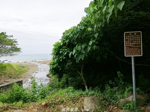 IMG_20211023_142033.jpg IMG_20211023_142033.jpg