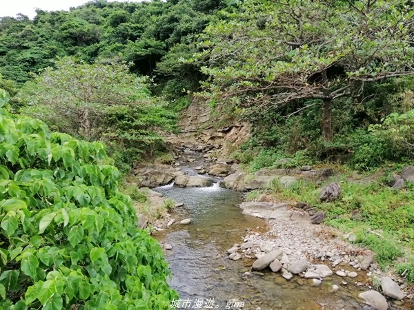 IMG_20211023_142043.jpg IMG_20211023_142043.jpg