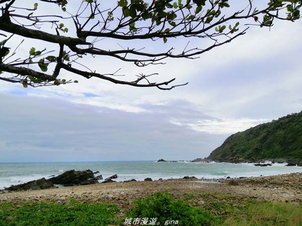 IMG_20211023_142630.jpg IMG_20211023_142630.jpg