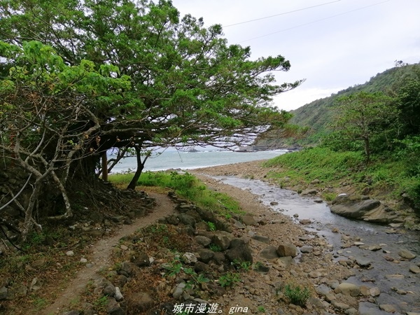 IMG_20211023_142522.jpg IMG_20211023_142522.jpg