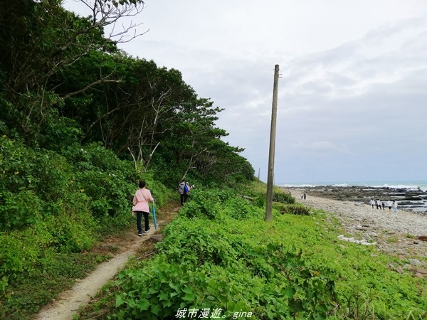 IMG_20211023_143128.jpg IMG_20211023_143128.jpg