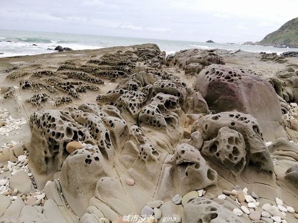 IMG_20211023_143206.jpg IMG_20211023_143206.jpg