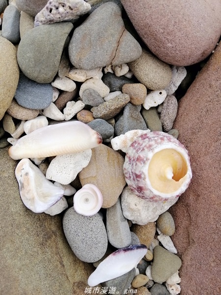 IMG_20211023_143402.jpg IMG_20211023_143402.jpg