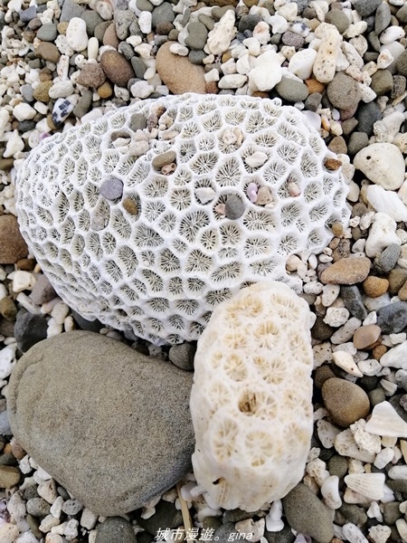 IMG_20211023_143542.jpg IMG_20211023_143542.jpg