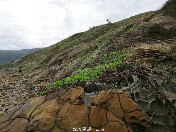 IMG_20211023_145014.jpg IMG_20211023_145014.jpg