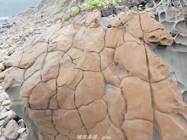 IMG_20211023_145009.jpg IMG_20211023_145009.jpg