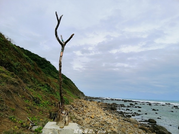 IMG_20211023_144627.jpg IMG_20211023_144627.jpg