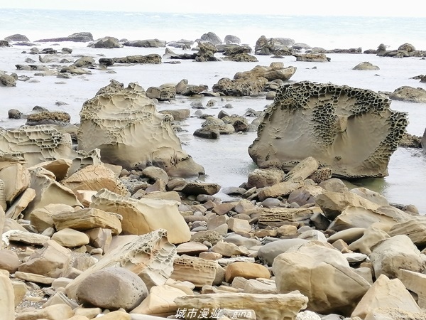 IMG_20211023_145512.jpg IMG_20211023_145512.jpg