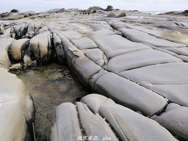 IMG_20211023_151931.jpg IMG_20211023_151931.jpg