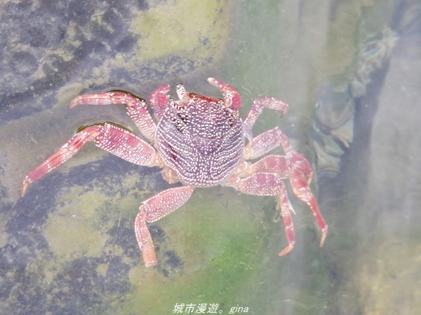 IMG_20211023_152348.jpg IMG_20211023_152348.jpg