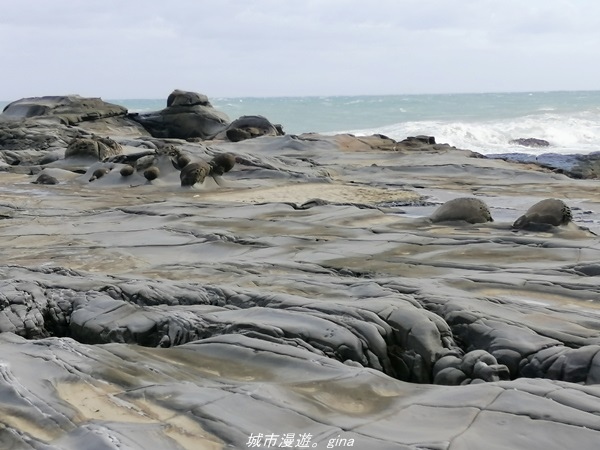 IMG_20211023_152740.jpg IMG_20211023_152740.jpg