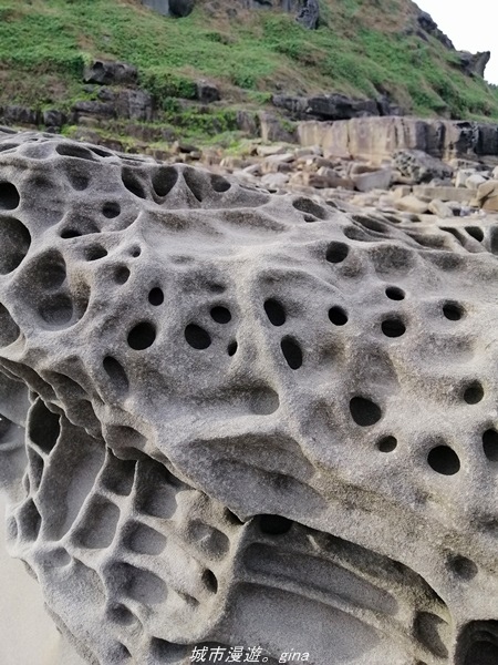 IMG_20211023_152834.jpg IMG_20211023_152834.jpg