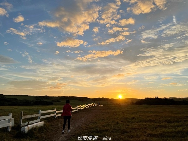 IMG_20211023_172105.jpg IMG_20211023_172105.jpg