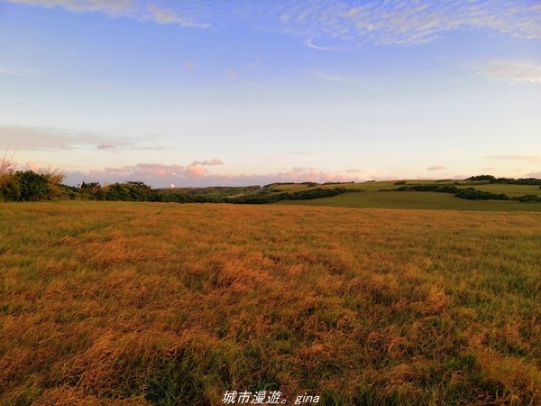 IMG_20211023_171638.jpg IMG_20211023_171638.jpg