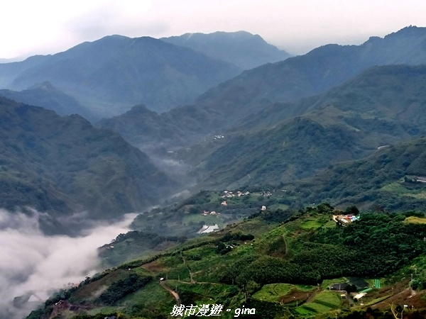 【苗栗大湖】喜見雲海。 No37小百岳馬那邦山