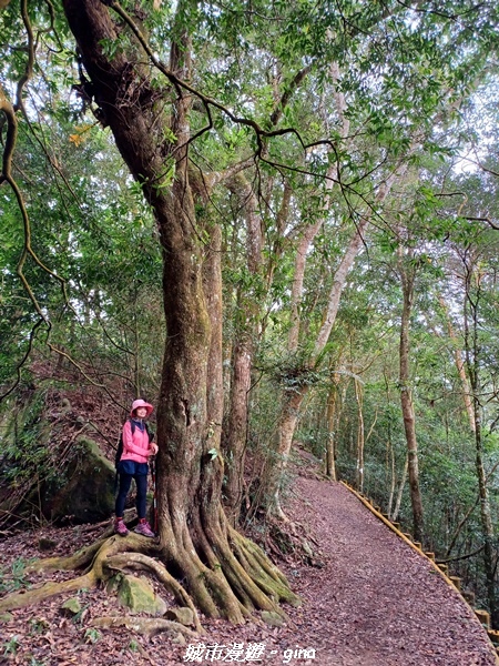 20211030_071101.jpg 20211030_071101.jpg