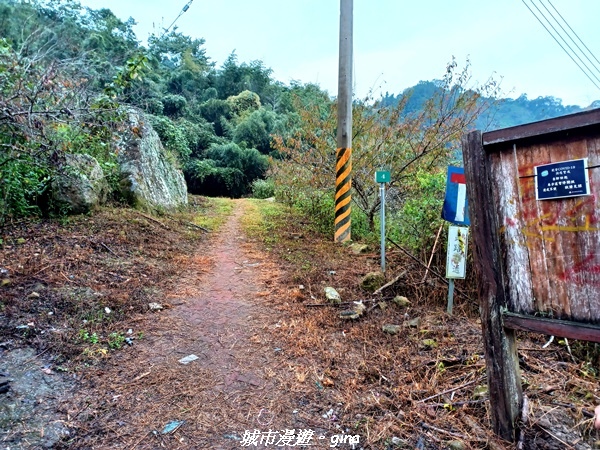 20211030_071111.jpg 20211030_071111.jpg