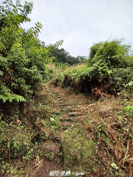 20211030_071955.jpg 20211030_071955.jpg