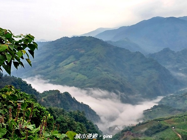 20211030_072635.jpg 20211030_072635.jpg