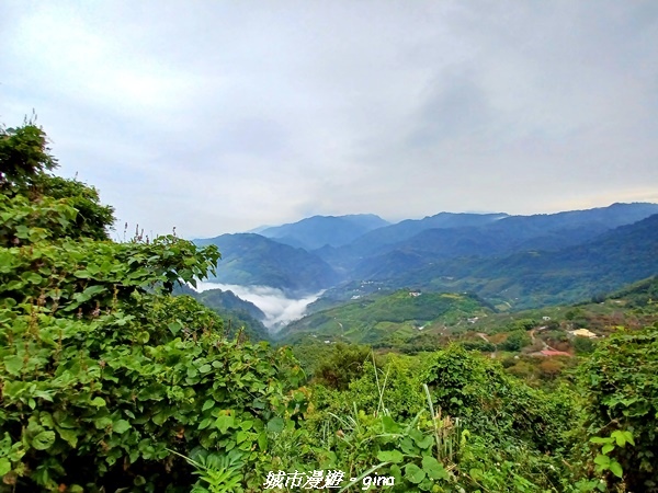 20211030_072622.jpg 20211030_072622.jpg