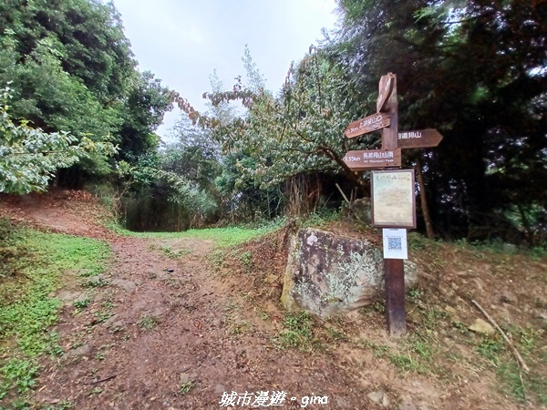 20211030_073013.jpg 20211030_073013.jpg