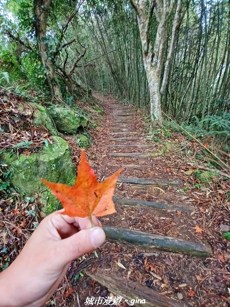 20211030_073246.jpg 20211030_073246.jpg