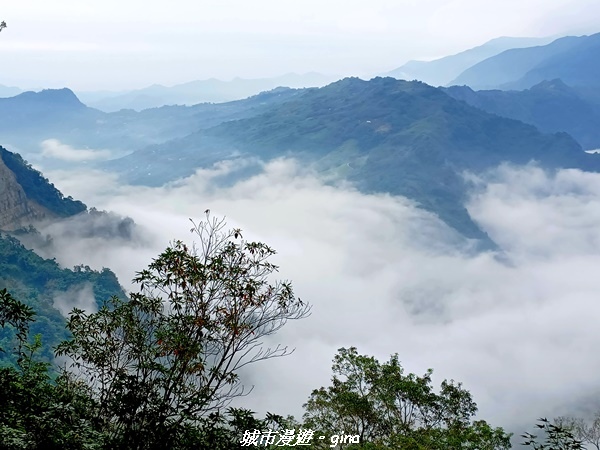 20211030_074717.jpg 20211030_074717.jpg