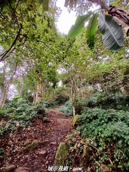 20211030_080707.jpg 20211030_080707.jpg