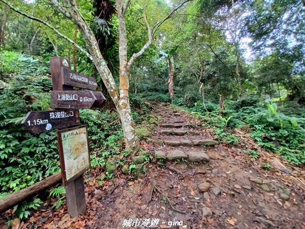 20211030_080519.jpg 20211030_080519.jpg