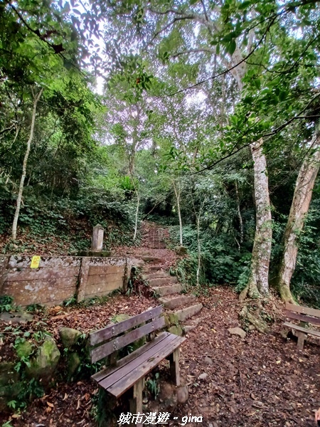 20211030_081141.jpg 20211030_081141.jpg