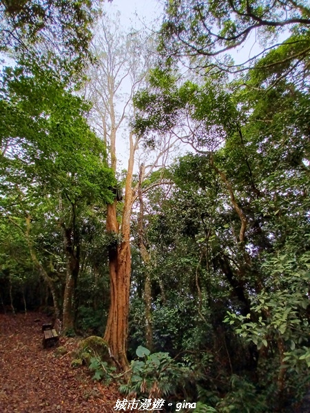 20211030_083558.jpg 20211030_083558.jpg