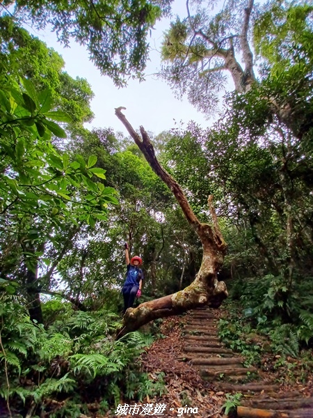 20211030_083137.jpg 20211030_083137.jpg