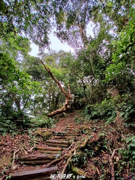 20211030_082821.jpg 20211030_082821.jpg