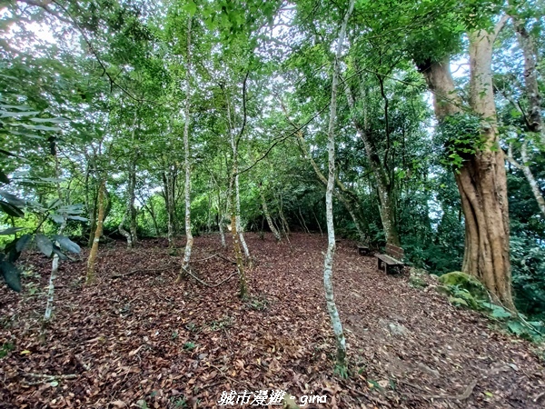 20211030_083610.jpg 20211030_083610.jpg