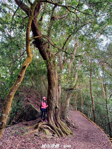 20211030_084249.jpg 20211030_084249.jpg