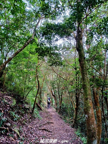 20211030_085045.jpg 20211030_085045.jpg