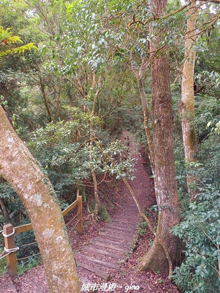 20211030_085451.jpg 20211030_085451.jpg