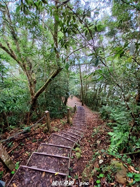 20211030_090750.jpg 20211030_090750.jpg