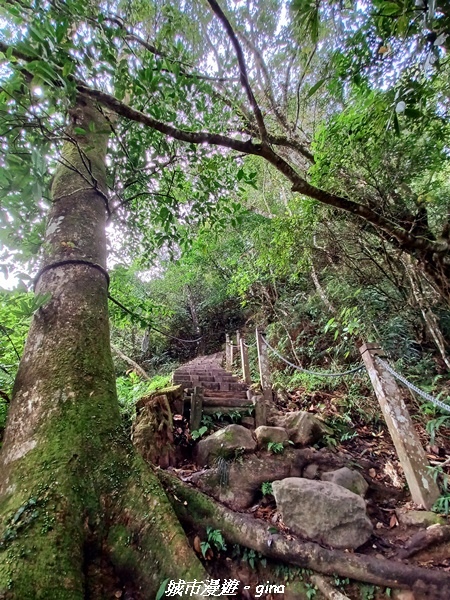 【苗栗大湖】喜見雲海。 No37小百岳馬那邦山