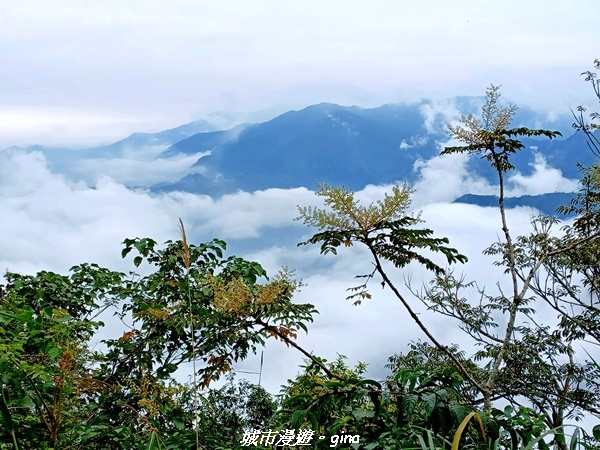 【苗栗大湖】喜見雲海。 No37小百岳馬那邦山