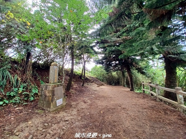 20211030_091456.jpg 20211030_091456.jpg